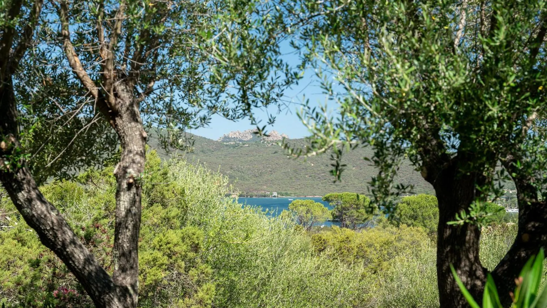Caletta Nest 88 Apartment Porto Rotondo