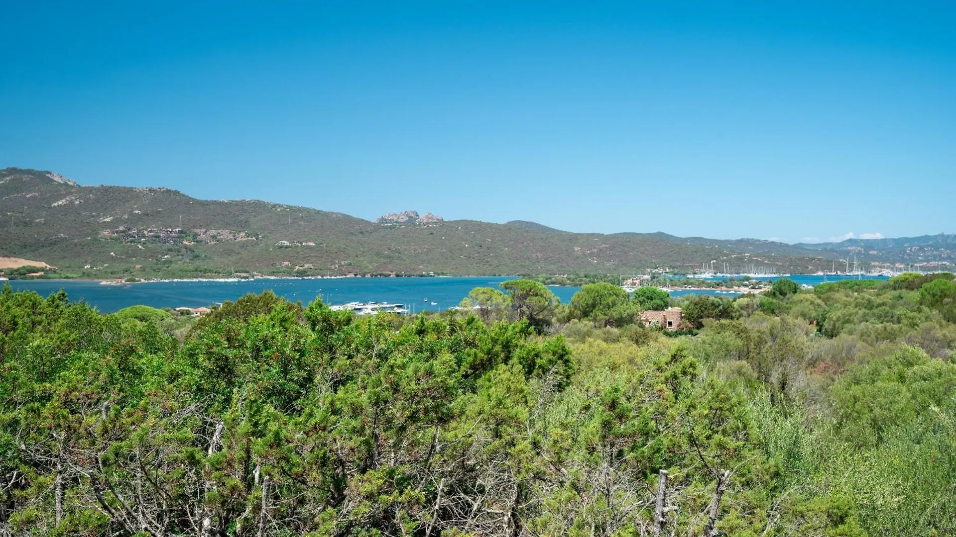 Caletta Nest 88 Apartment Porto Rotondo 0*,