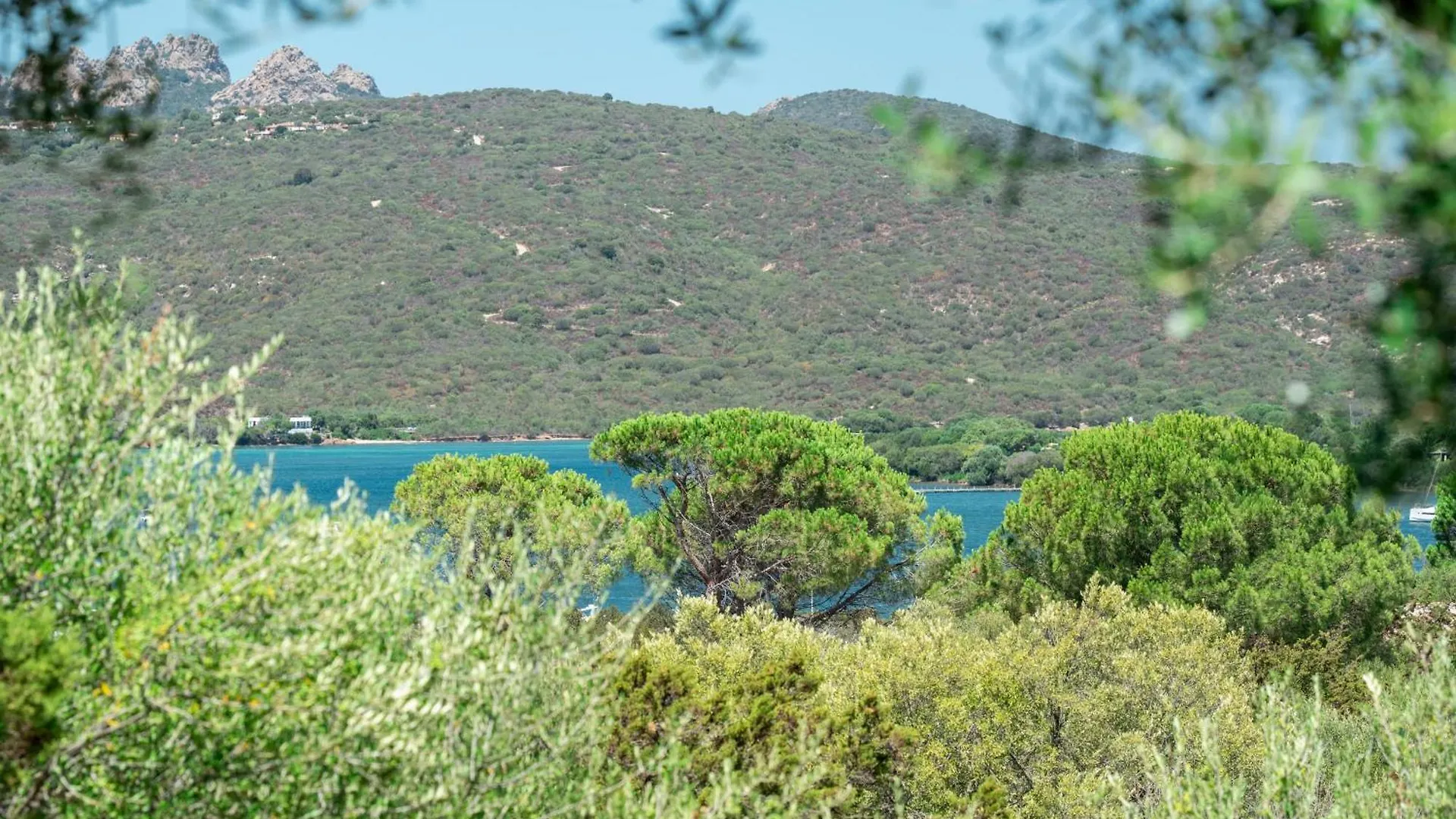 Caletta Nest 88 Apartment Porto Rotondo